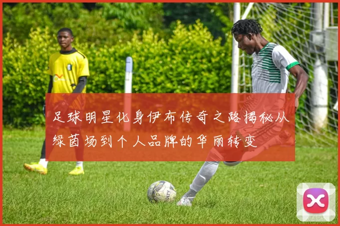 足球明星化身伊布传奇之路揭秘从绿茵场到个人品牌的华丽转变