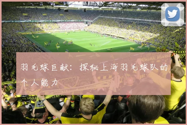 羽毛球巨献：探秘上海羽毛球队的个人能力