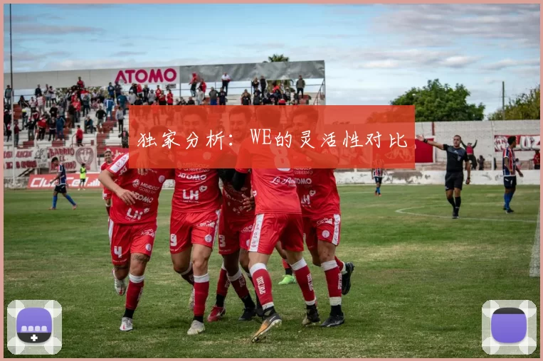 独家分析：WE的灵活性对比